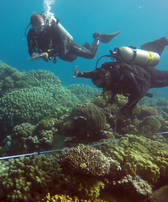Reef Check EcoDiver